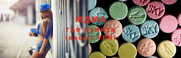 сатива Белокуриха