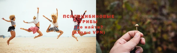 сатива Белокуриха