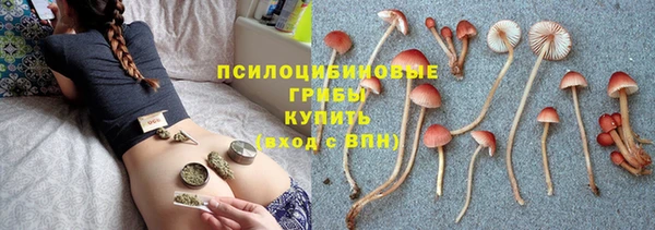 не бодяженный Беломорск